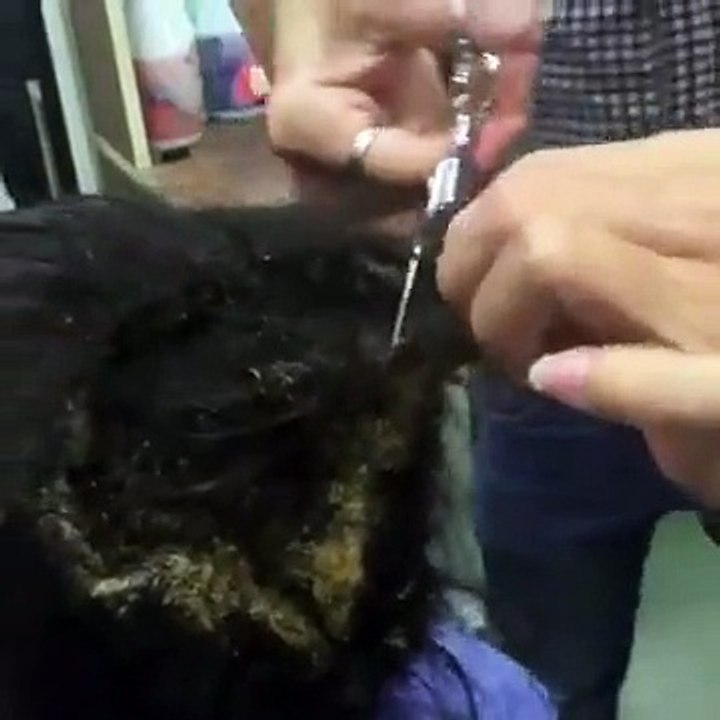 Saçını Hiç Yıkamamış Kadın