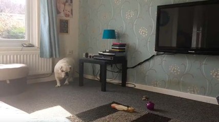 Une nouvelle façon de se gratter le dos !