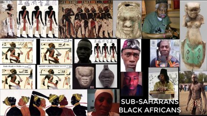 Afrocentricism claims to Ancient Egypt dismissed