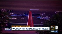 Pedestrian killed in Mesa crash; woman may have been in the road to help injured animal
