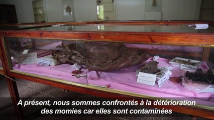 Combat pour la survie de rares momies au Yémen