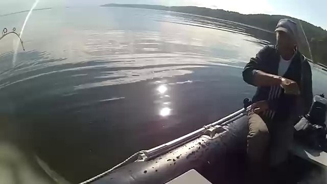 Olta İle Müthiş Yayın Balığı Avı