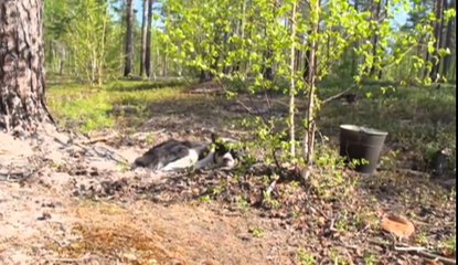 08. Диалоги о рыбалке 2014. Ханты-Мансийск. Окунь. Часть 2