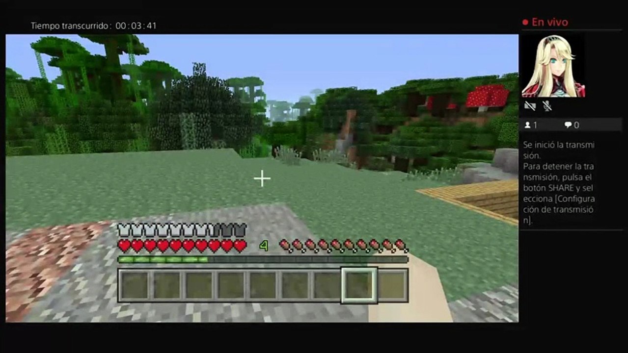 Minecraft Survival (2)