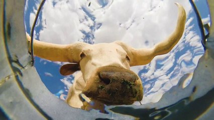 Caméra au fond d'un seau d'eau (Texas)