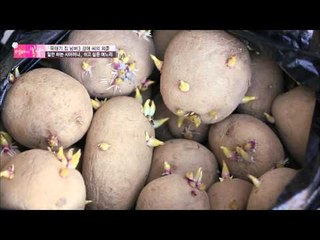 며느리는 주부, 시어머니는 농부??[엄마의 봄날] 33회 20160314