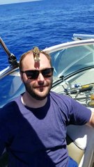 Tiny Bird Takes a Rest on Man's Head