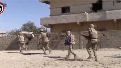 تداعيات استخدام مليشيات لمواجهة تنظيم الدولة بسيناء