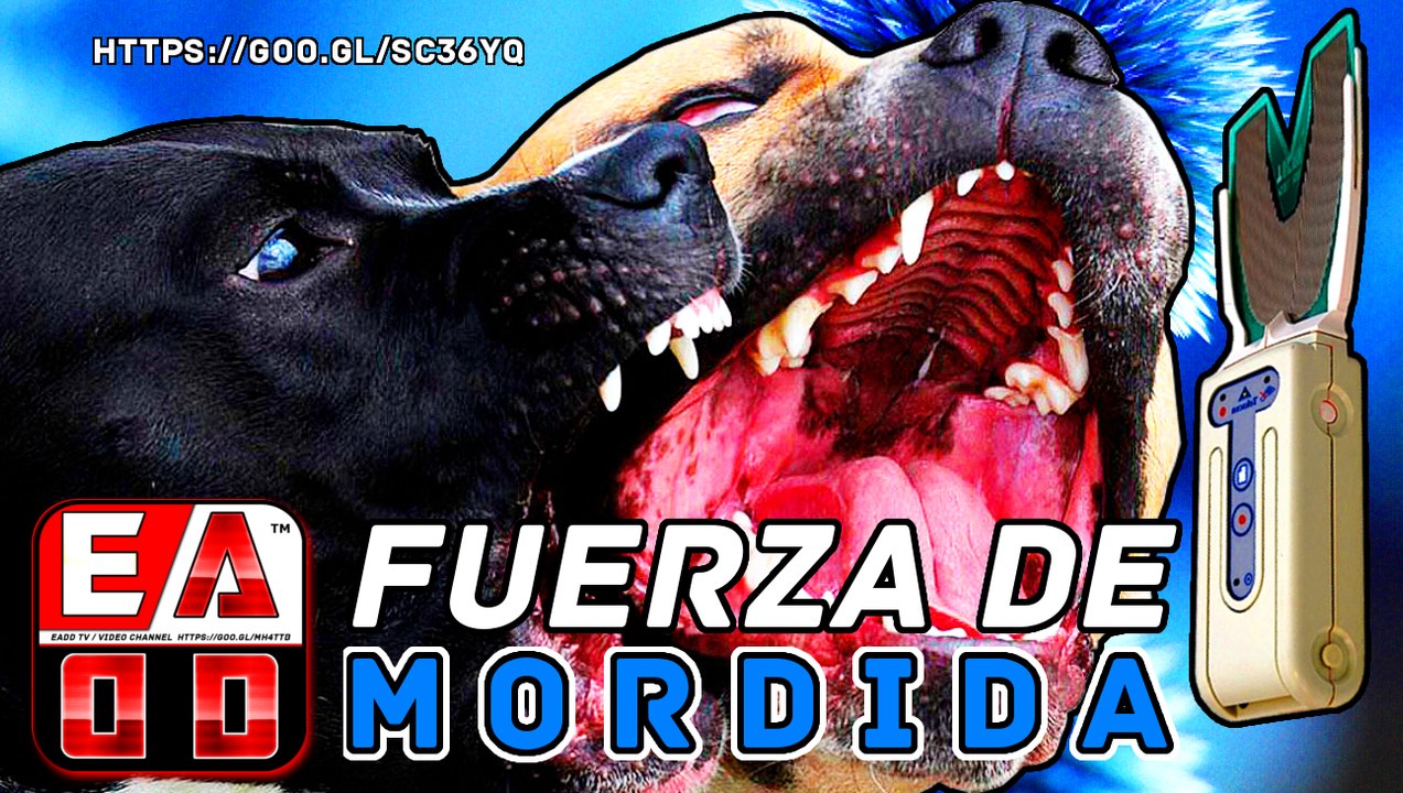 Top 10 Perros Con La Mordida Más Poderosa