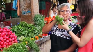 Abuelita linda | Campeche