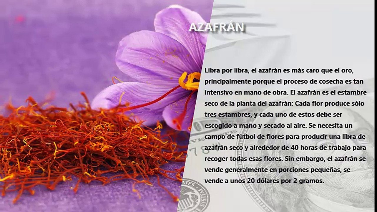 Rosa Olivis - Los ingredientes más caros del mundo