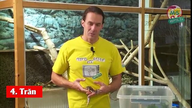 Cận cảnh 10 con vật 2 đầu khiến bạn há hốc mồm không biết nên yêu hay sợ