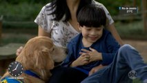Terapia com animais ganha cada vez mais adeptos entre portadores do autismo