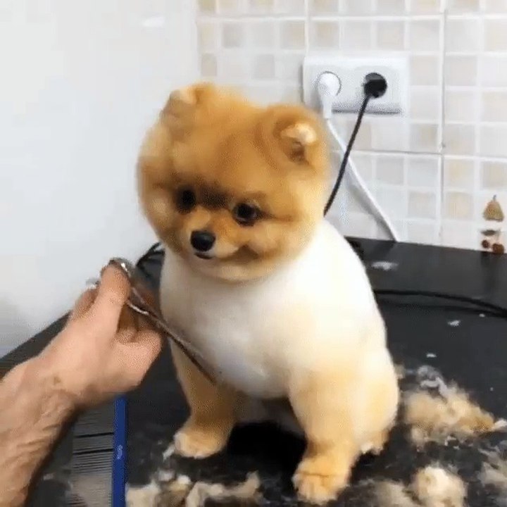 süper video