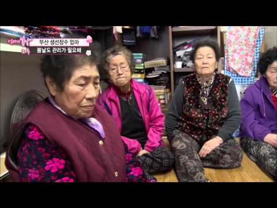 부산 생선장수 유분학 엄마의 봄날 그리고 새로운 변화들![엄마의 봄날] 32회 201...