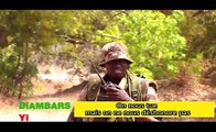 DIAMBARS YI: Admirez Le courage des soldats sénégalais