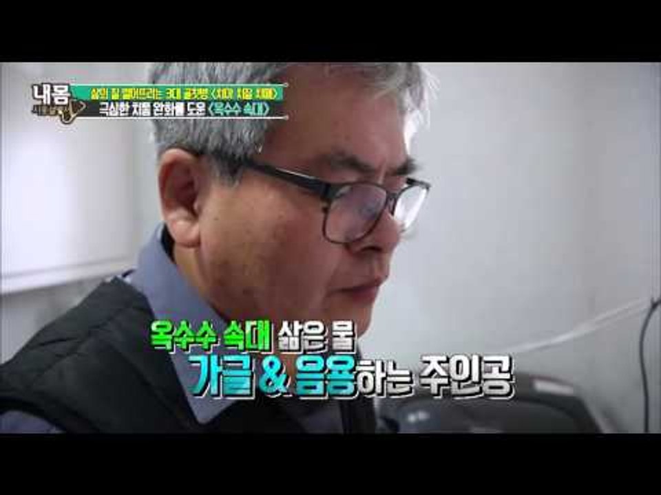극심한 치통 완화를 도운 바로 '이것' [내 몸 사용 설명서] 92회