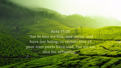 For in him we live, and move, and have our being Acts 17 28 - imagesforview.com