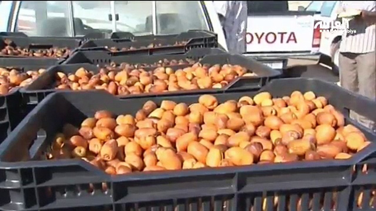 واحات ليبيا والخير الوفير  libyan paradise