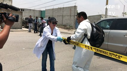 México investiga enfrentamiento entre ejército y delincuentes