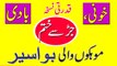 Piles Treatment || Bawaseer Ka Ilaaj || Health Tips In Urdu