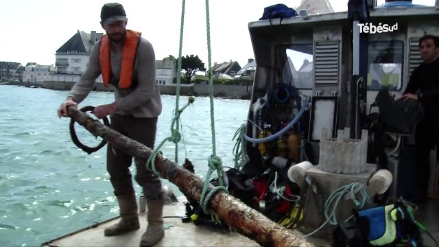 Ploemeur (56). Les ancres du sentier archéologique sous-marin immergées