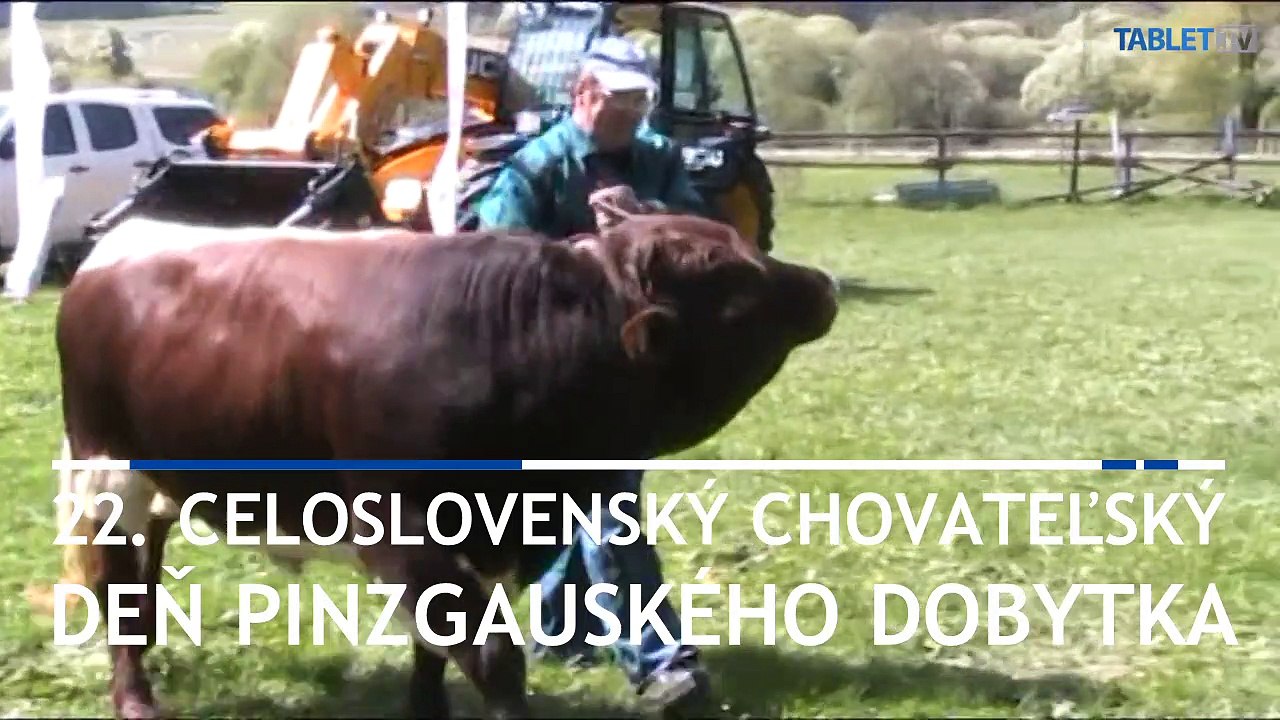 Chovateľov pinzgauského dobytka trápia nízke nákupné ceny mlieka