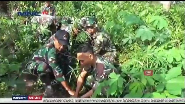 Anggota TNI Evakuasi Ular Piton Sepanjang 4 Meter