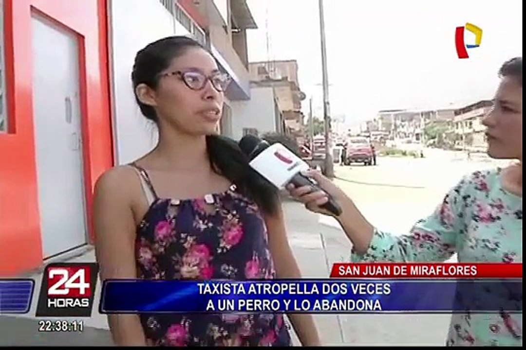 SJM: taxista atropella dos veces a perro y lo abandona