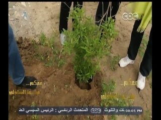 #معكم_منى_الشاذلي | شاهد…بالفيديو منى الشاذلي تزرع " شجرة رومان " في بيت الراحل عبد الرحمن الابنودي