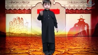 Imam e Hussain a.s. ki be misaal aur la zawaal Qurbani