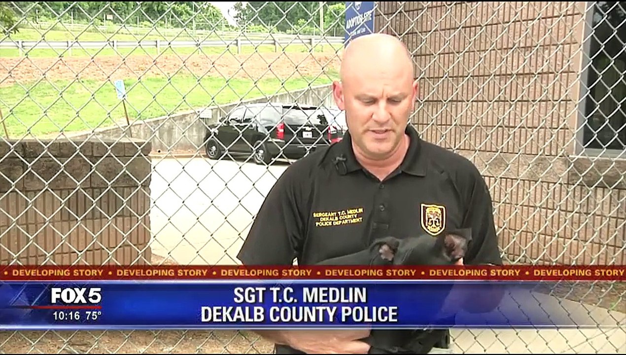 Police say man punched puppy