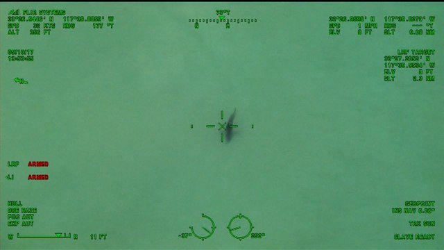 Paddle-boarders told to exit water as great white sharks swim nearby