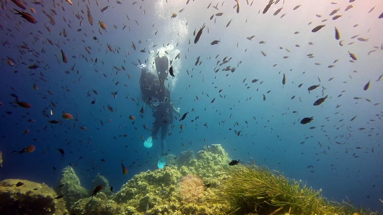 Baptême de plongée en Mer