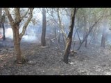 Cefalù (PA) - Incendio boschivo in Contrada Granata (12.05.17)