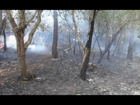 Cefalù (PA) - Incendio boschivo in Contrada Granata (12.05.17)