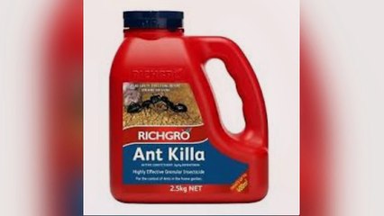 Rodent control Service