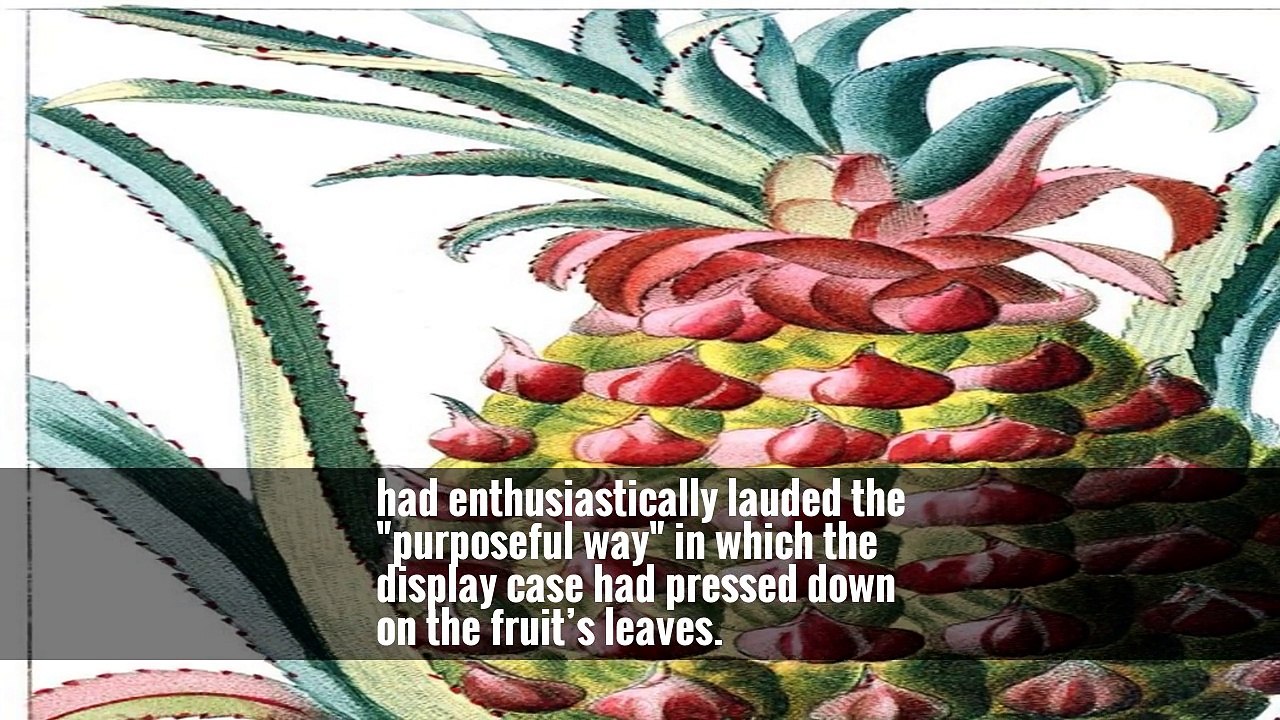 How a Humble Pineapple Became Art