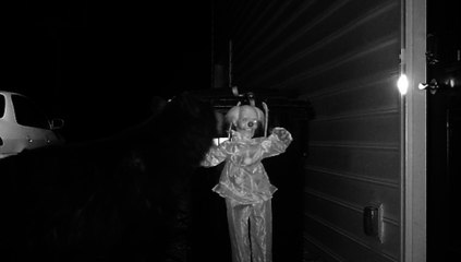 ¿Qué ocurre si juntas un oso y un payaso asesino?