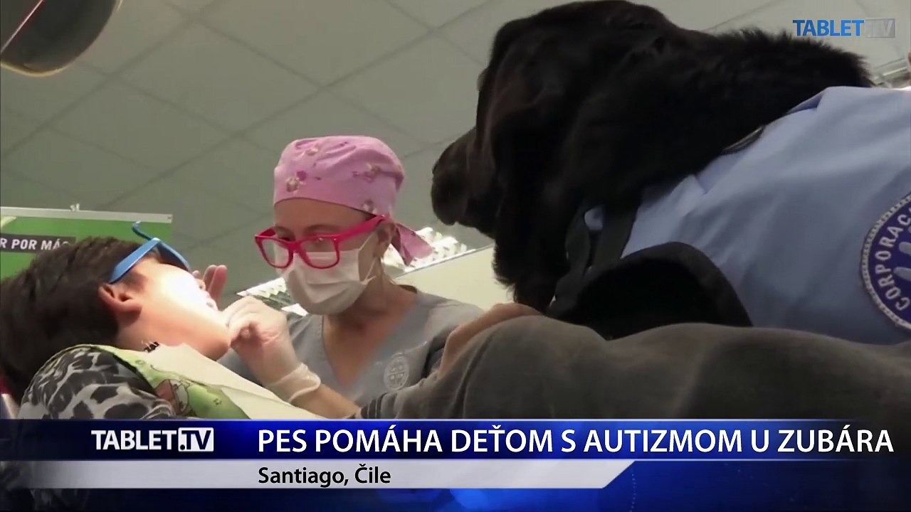 Trénovaný terapeutický pes pomáha deťom s autizmom zvládnuť návštevu u zubára