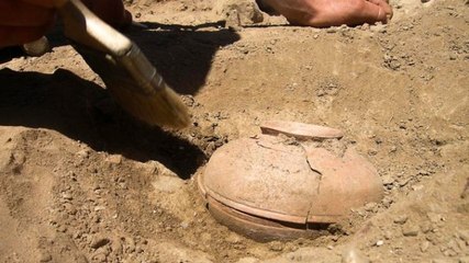 800 Yıllık Tohumlar Ekilince Bakın Ne Oldu.!!