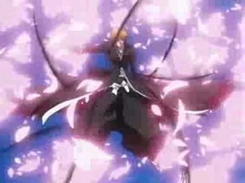 Kurosaki ichigo vs kuchiki byakuga