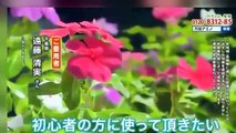 BARレモン・ハート SEASON2 【第6話】