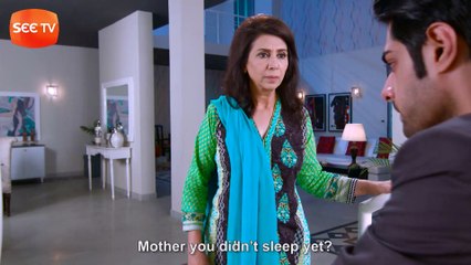 Apnay - Episode 18 - Complete - 2 May ,2017 - SEE TV