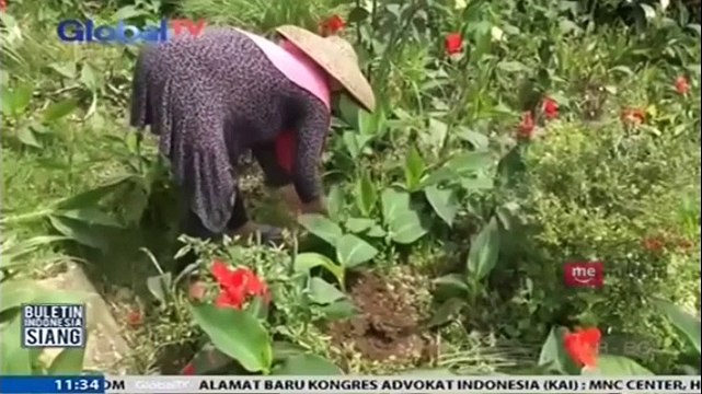 Gara-Gara Cacing, Seorang Petani Masuk Penjara di Bogor Jawa Barat