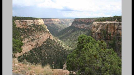 La planète est plus « verte » qu’on ne le pensait