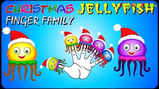 Christmas Jellyfish Cartoon Finger Family _ Jellyfish Finger Family Rhyme C