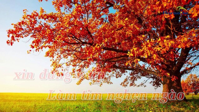 Ai Cho Tôi Tình Yêu Karaoke HD - Lệ Quyên