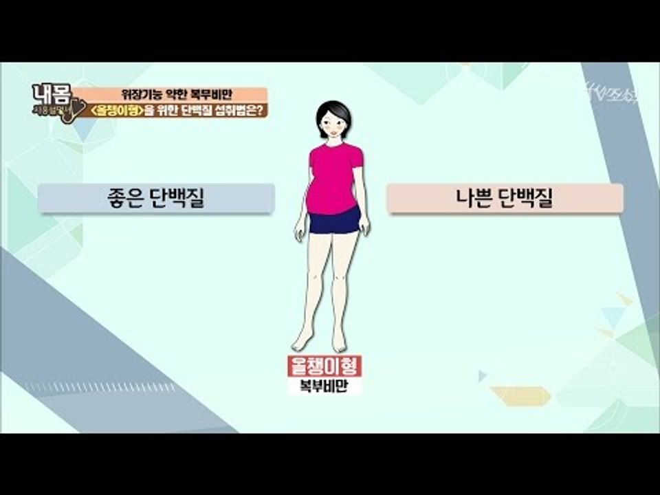 복부비만에 좋은 단백질과 나쁜 단백질! [내 몸 사용설명서] 153회 20170512