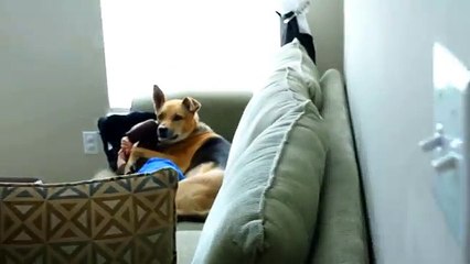 Son fils est fiévreux sur le canapé. Lorsqu'elle revient dans la pièce, elle ne peut s'empêcher de filmer!